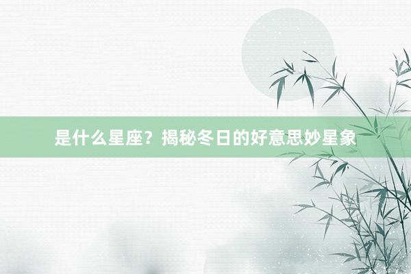 是什么星座？揭秘冬日的好意思妙星象
