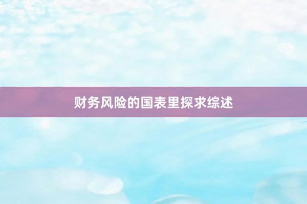 财务风险的国表里探求综述